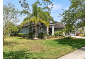 5607 Turtle Ridge Dr, LUTZ