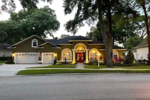 2424 Valrico Forest Dr, VALRICO