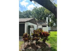 3456 Hunters Run Ln, TAMPA