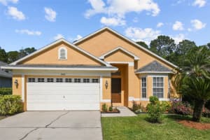 14647 Corkwood Dr, TAMPA 14647 Corkwood Dr, TAMPA