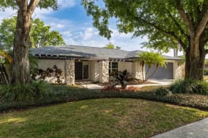 3318 Foxridge Cir, TAMPA