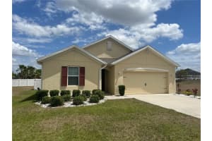 10909 Stebbing Ct, THONOTOSASSA 10909 Stebbing Ct, THONOTOSASSA