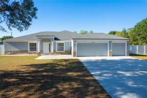 10224 Bloomfield Hills Dr, SEFFNER 10224 Bloomfield Hills Dr, SEFFNER