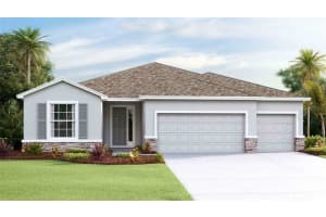 23278 Scaglione Dr, LUTZ 23278 Scaglione Dr, LUTZ