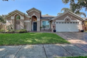 12804 Pacifica Pl, TAMPA