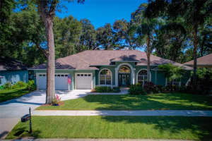 2412 Valrico Forest Dr, VALRICO 2412 Valrico Forest Dr, VALRICO