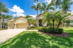 1204 Oxbridge Dr, LUTZ 1204 Oxbridge Dr, LUTZ