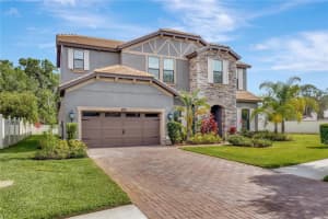 16538 Ballyshannon Dr, TAMPA