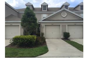 10023 Tranquility Way, TAMPA