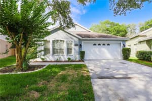 2136 Brandon Park Cir, BRANDON