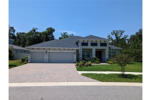 14118 Tomentosa Ave, RIVERVIEW 14118 Tomentosa Ave, RIVERVIEW