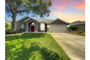 19023 Fern Meadow Loop, LUTZ