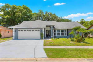 28710 Twinbrook Ln, WESLEY CHAPEL 28710 Twinbrook Ln, WESLEY CHAPEL