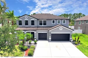 11807 Harpswell Dr, RIVERVIEW