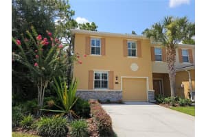 13932 Snapper Fin Ln, TAMPA