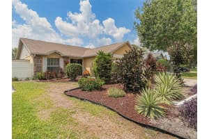 4935 Cypress Trace Dr, TAMPA