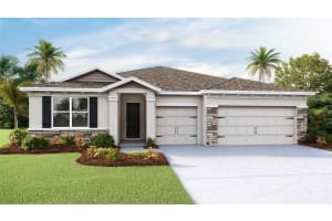 23293 Scaglione Dr, LUTZ 23293 Scaglione Dr, LUTZ