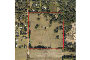 10201 Timmons Rd, THONOTOSASSA