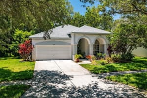 11917 Derbyshire Dr, TAMPA