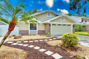 5026 Cypress Trace Dr, TAMPA