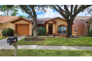 10116 Cedar Dune Dr, TAMPA