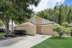 5914 Birchwood Dr, TAMPA