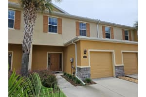 13938 Snapper Fin Ln, TAMPA