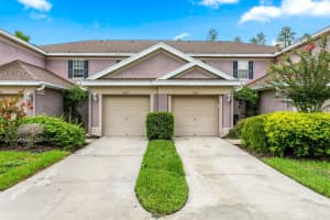 6255 Duck Key Ct, TAMPA