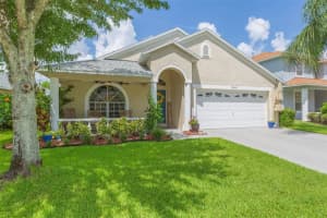 14644 Corkwood Dr, TAMPA 14644 Corkwood Dr, TAMPA