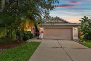 11836 Derbyshire Dr, TAMPA