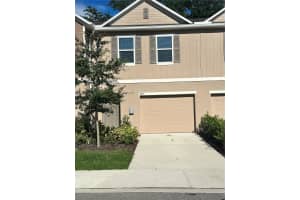 4733 Deer Track St, TAMPA