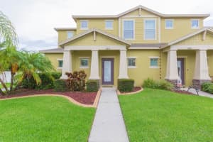 6933 Frog Pocket Pl, TAMPA