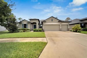 12122 Creek Preserve Dr, RIVERVIEW