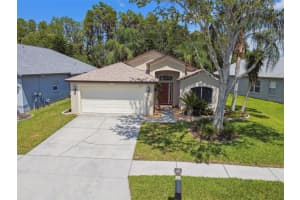 3802 Lockridge Dr, LAND O LAKES 3802 Lockridge Dr, LAND O LAKES