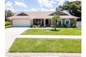 2611 Durant Woods St, VALRICO