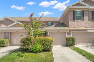 10003 Tranquility Way, TAMPA