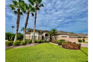 11920 Wandsworth Dr, TAMPA