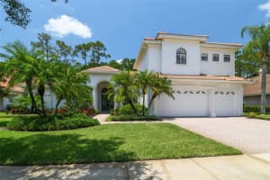 9519 Tree Tops Lake Rd, TAMPA