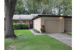 6205 Amaretto Ln #6205, TAMPA