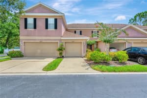 10131 Tranquility Way, TAMPA