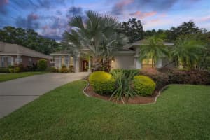 6021 Williamsburg Way, TAMPA