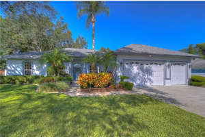 2209 Glen Mist Dr, VALRICO 2209 Glen Mist Dr, VALRICO