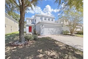 11228 Black Forest Trl, RIVERVIEW
