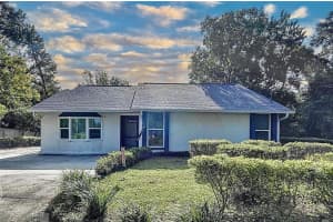 10130 Ehren Cutoff, LAND O LAKES