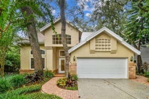 13103 Greengage Ln, TAMPA