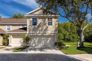 6237 Duck Key Ct, TAMPA