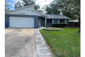 10815 Airview Dr, TAMPA 10815 Airview Dr, TAMPA