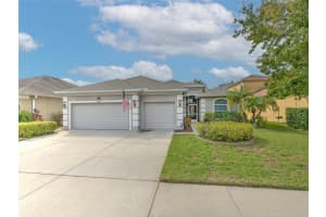 11471 Newgate Crest Dr, RIVERVIEW