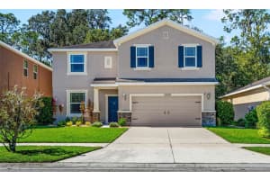 12209 Swaying Moss Cir, RIVERVIEW
