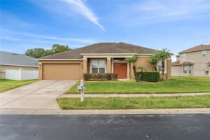 3451 Fortingale Dr, WESLEY CHAPEL